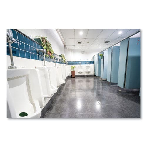 Fresh Products Eco-fresh Urinal Block Non-para Green Apple Green 12/box 12 Boxes/carton - Janitorial & Sanitation - Fresh Products