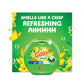 Gain Flings Detergent Pods Orginal 81 Pods/tub - Janitorial & Sanitation - Gain®