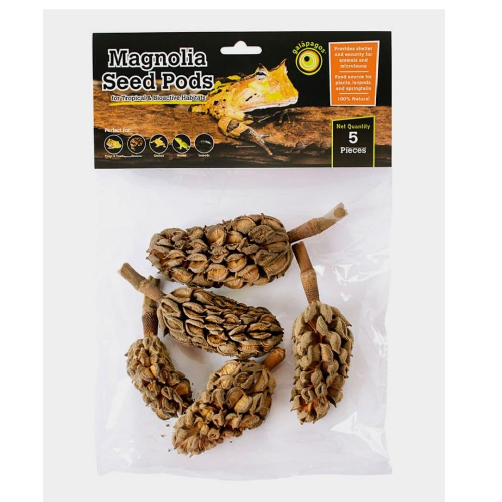 Galapagos Natural Magnolia Seed Pods 1ea-5 pk - Pet Supplies - Galapagos