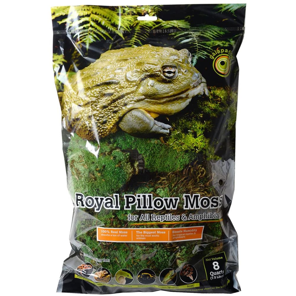 Galapagos Royal Pillow Moss for Tropical & Forest Tanks Fresh Green 8 qt - Pet Supplies - Galapagos