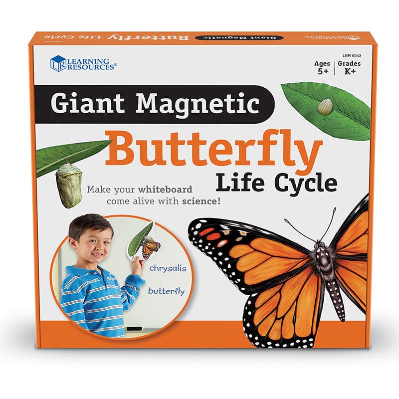 Giant Magnetic Butterfly Life Cycle - Animal Studies - Learning Resources