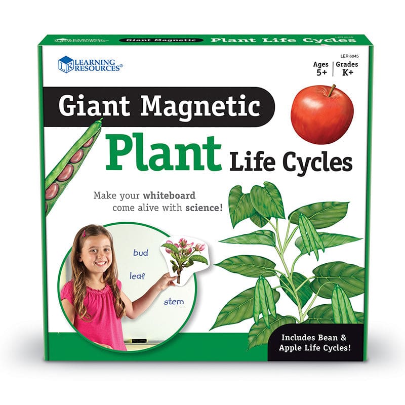 Giant Magnetic Plant Life Cycles - Plant Studies - Learning Resources