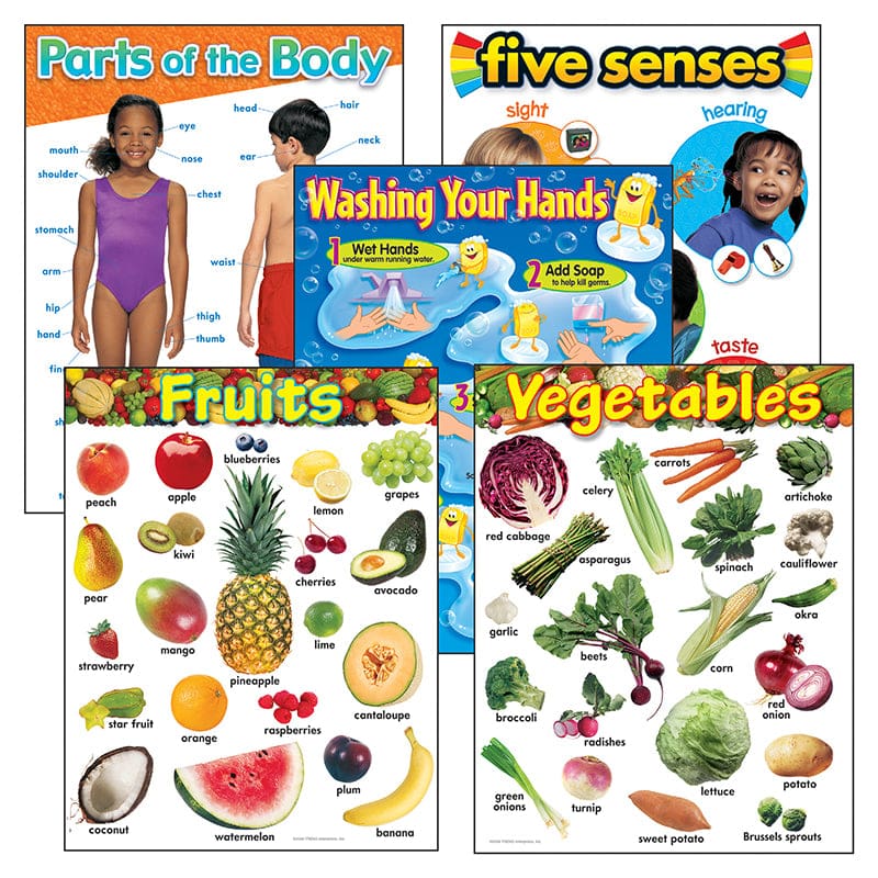 Healthy Living Learning Charts Combo Pack (Pack of 2) - Science - Trend Enterprises Inc.