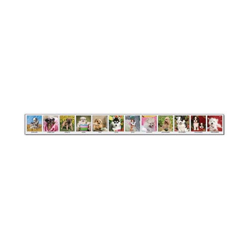 House of Doolittle Earthscapes Recycled Desk Tent Monthly Calendar Puppies Photography 8.5 X 4.5 White/multicolor Sheets 2023 - Office -