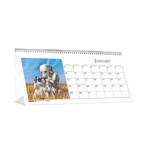House of Doolittle Earthscapes Recycled Desk Tent Monthly Calendar Puppies Photography 8.5 X 4.5 White/multicolor Sheets 2023 - Office -