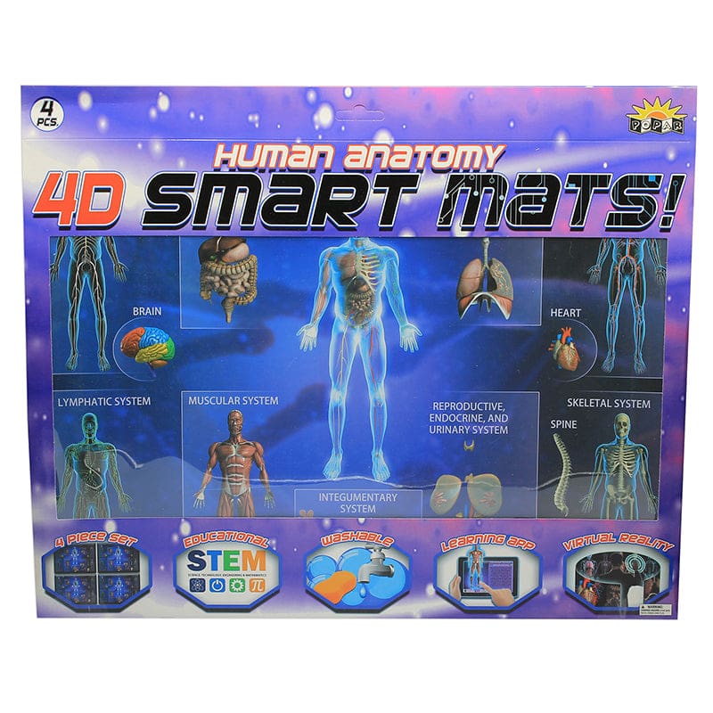 Human Anatomy Smart Mats Set Of 4 - Human Anatomy - Popar Toys