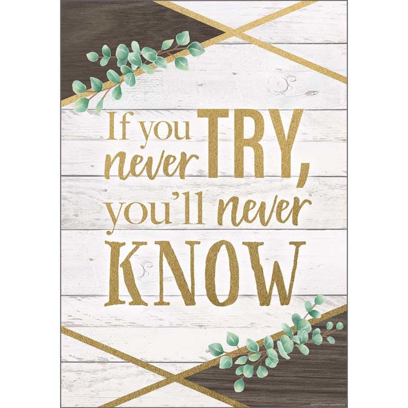 If You Never Try Youll Never Poster (Pack of 12) - Motivational - Teacher Created Resources