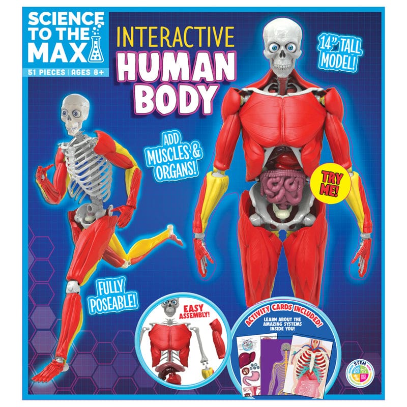 Interactive Human Body - Human Anatomy - Be Amazing Toys