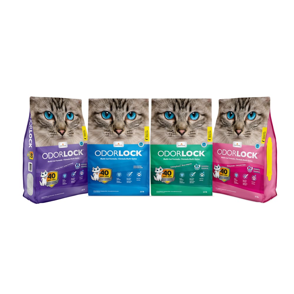 Intersand Odorlock Baby Powder Cat Litter 13.2 lb - Pet Supplies - Intersand