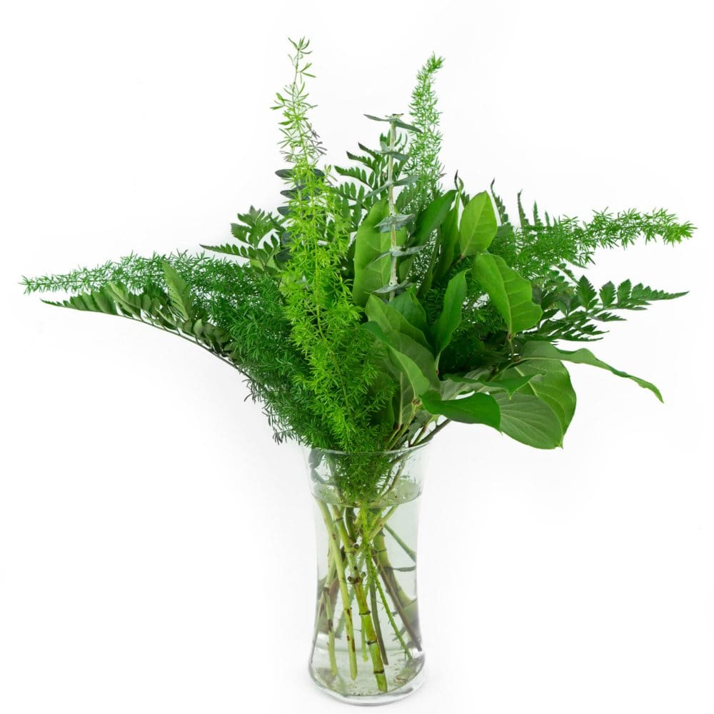 Just Add Blooms West Coast Bouquet (15 Bunches) - Fillers & Greenery - Just Add