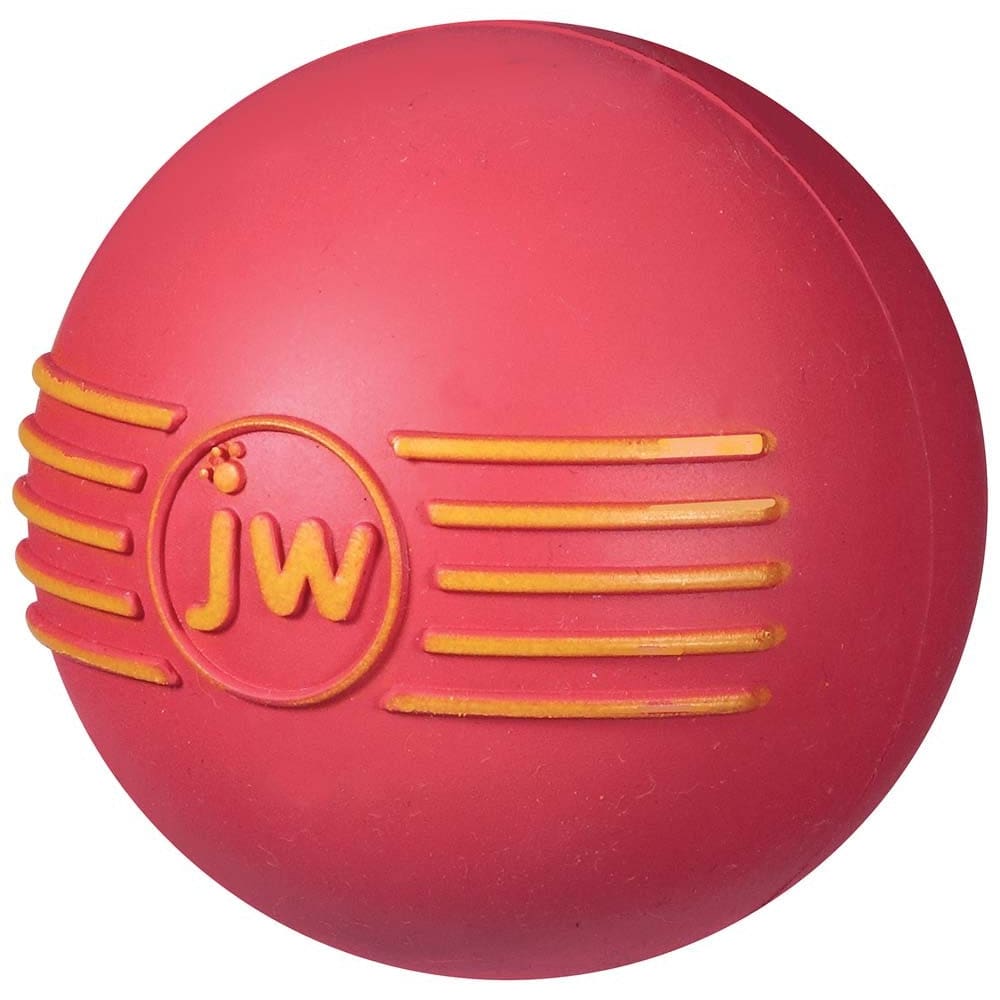 JW Pet iSqueak Ball Dog Toy Assorted Medium - Pet Supplies - JW