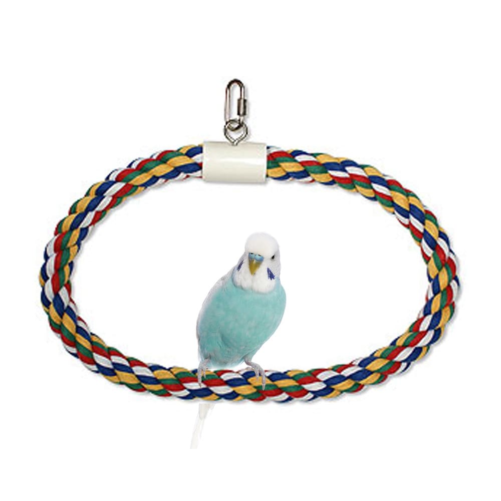 JW Pet Swing N Perch Ring Multi-Color Large - Pet Supplies - JW