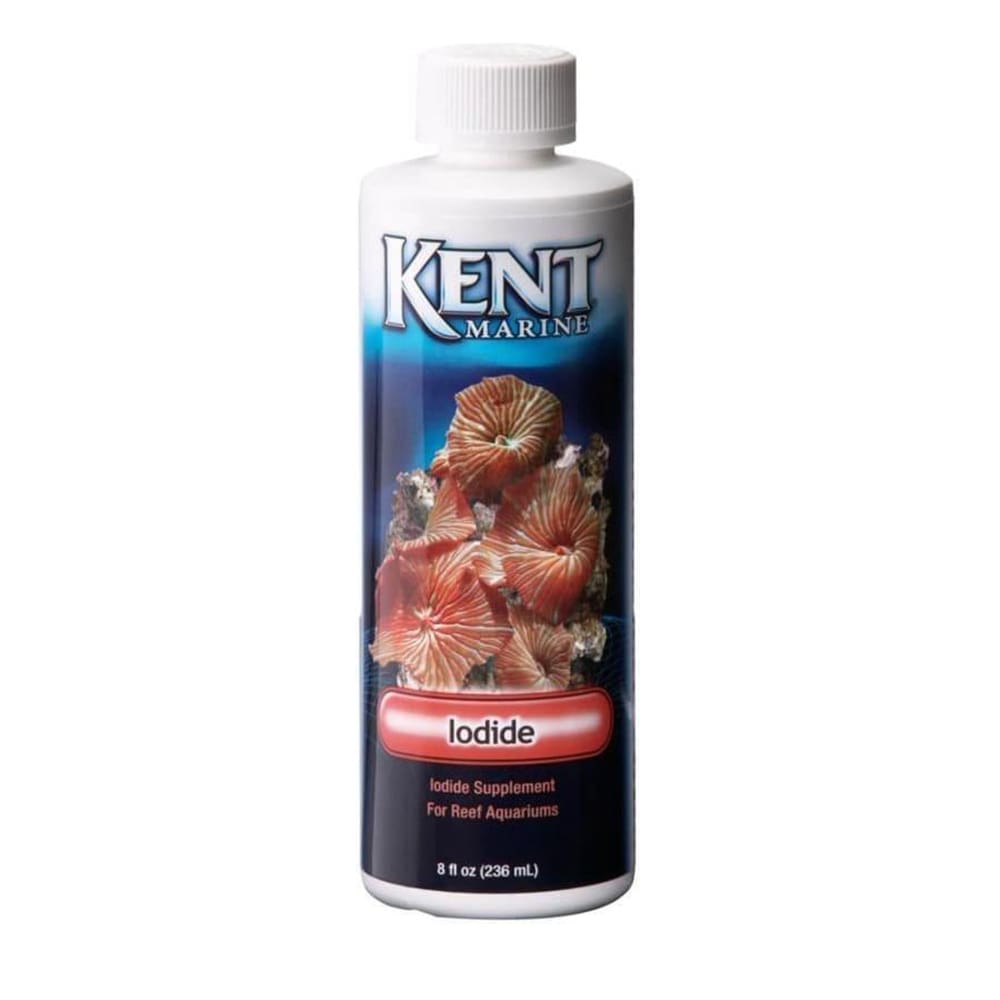 Kent Marine Concentrated Iodide Supplement Bottle 8 Fluid Ounces - Pet Supplies - Kent Marine