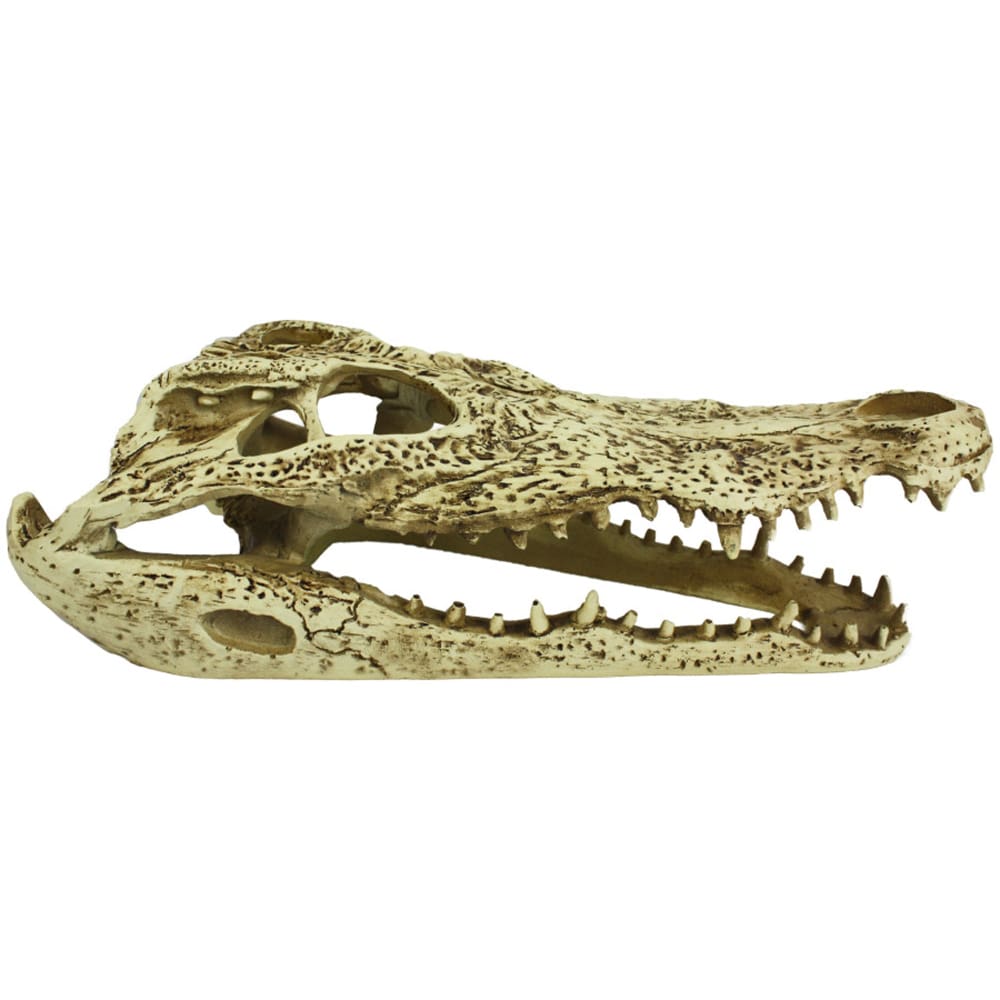 Komodo Alligator Skull Hideout 1ea-9 in - Pet Supplies - Komodo