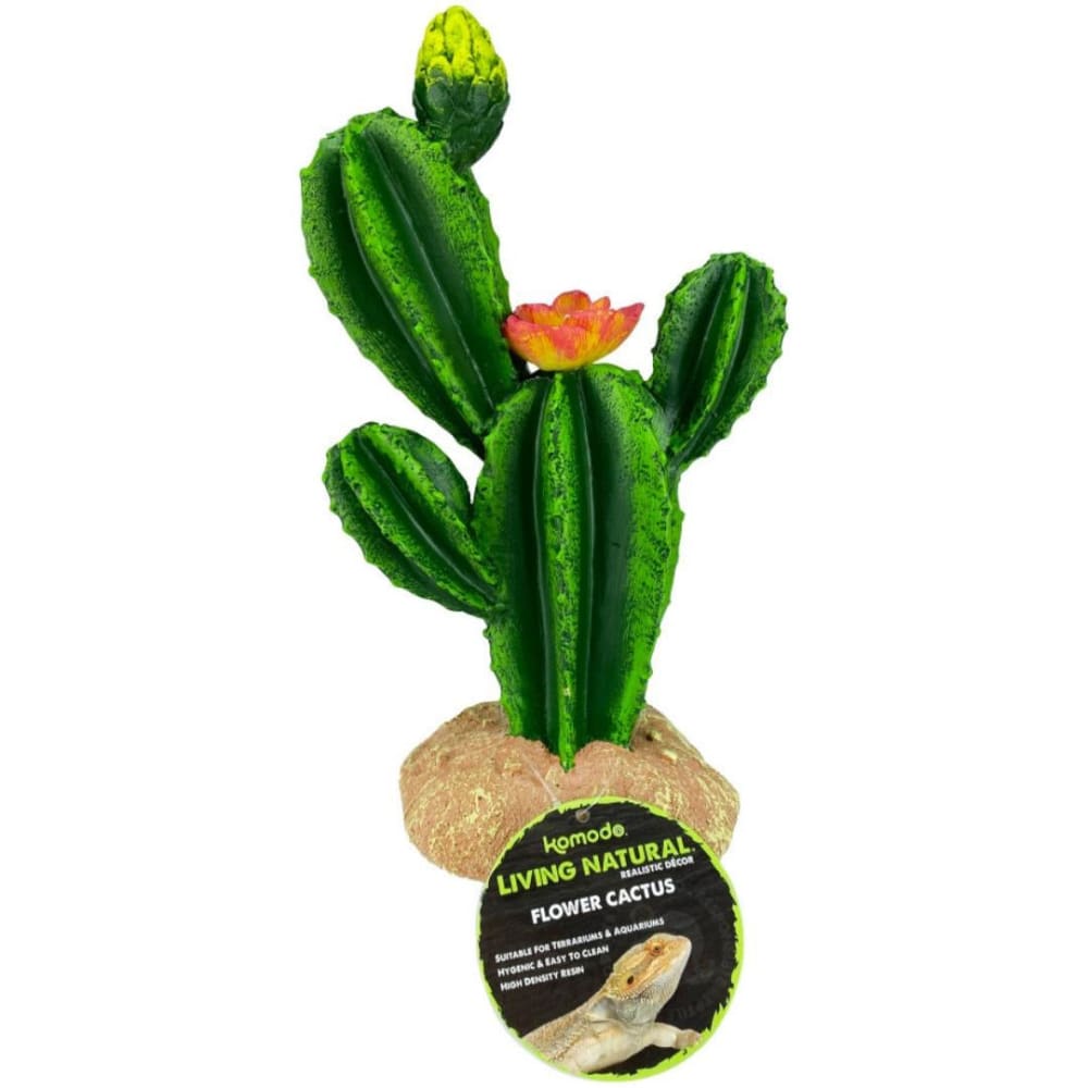 Komodo Cactus Plant Flower 1ea-9 in - Pet Supplies - Komodo