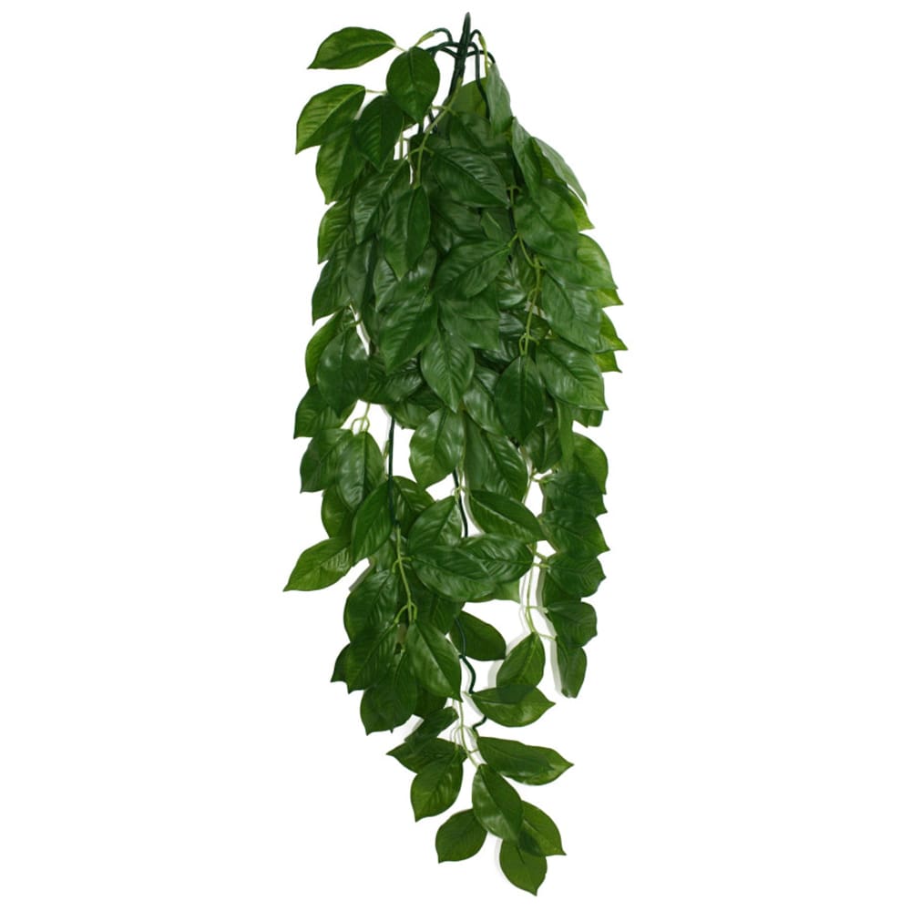 Komodo Green Leaf Hanging Plant 1ea-LG; 26 in - Pet Supplies - Komodo