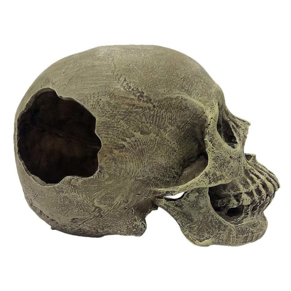 Komodo Half Human Skull Reptile Hideout Gray One Size - Pet Supplies - Komodo