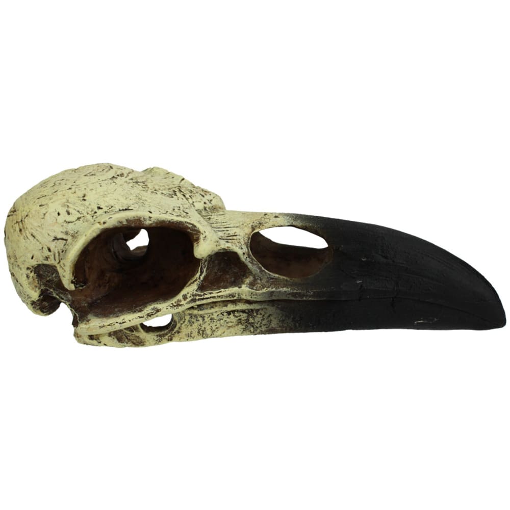 Komodo Raven Skull Hideout 1ea-MD; 6 in - Pet Supplies - Komodo