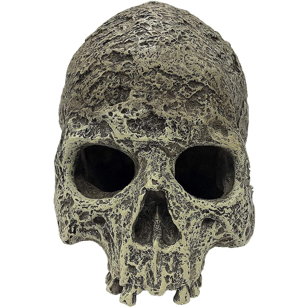 Komodo Textured Human Skull Reptile Hideout Gray One Size - Pet Supplies - Komodo