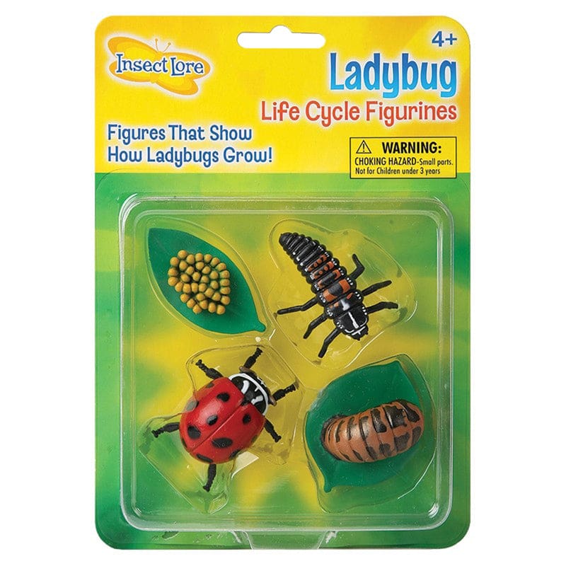 Ladybug Life Cycle Stages (Pack of 6) - Animal Studies - Insect Lore