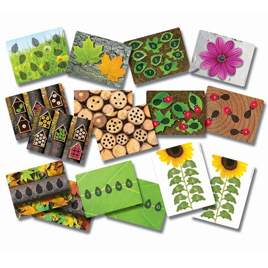 Ladybugs Early Number Cards - Math - Yellow Door Us LLC