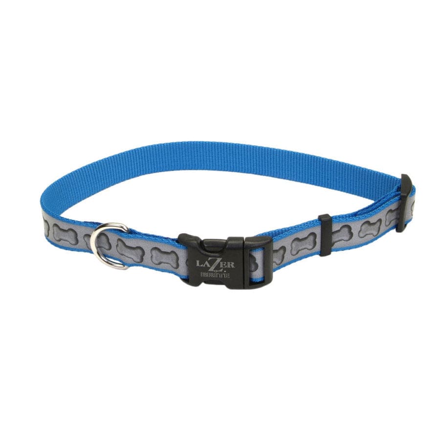 Lazer Brite Reflective Adjustable Dog Collar Turquoise 1 in x 18-26 in - Pet Supplies - Lazer