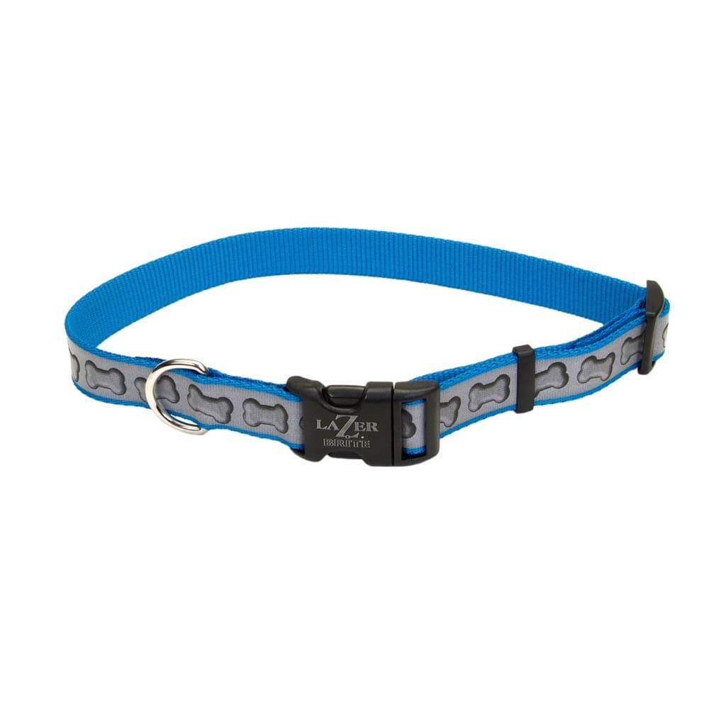 Lazer Brite Reflective Adjustable Dog Collar Turquoise 3/8 in x 8-12 in - Pet Supplies - Lazer