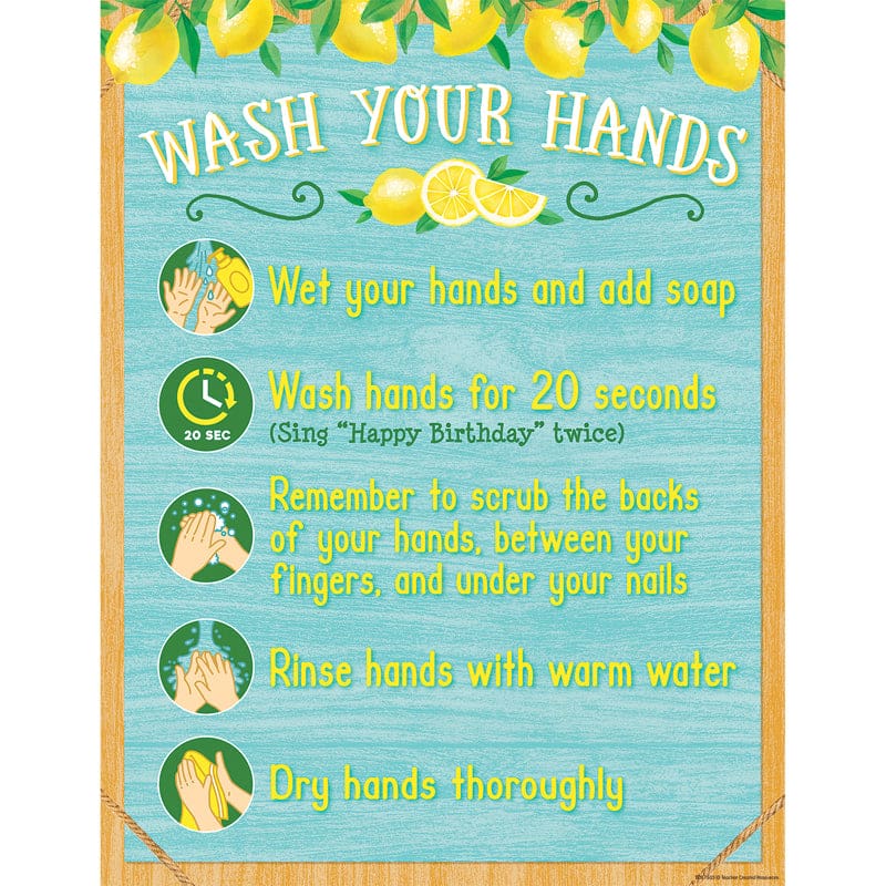 Lemon Zest Wash Your Hands Chart Lemon Zest (Pack of 12) - Science - Teacher Created Resources