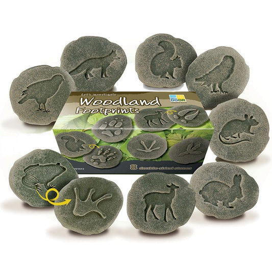 Lets Investigate Woodland Footprint - Animal Studies - Yellow Door Us LLC