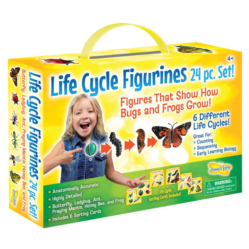 Life Cycle Figurines 24Pc Set - Animal Studies - Insect Lore