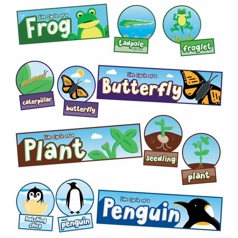 Life Cycles Bulletin Board Set (Pack of 6) - Science - Carson Dellosa Education
