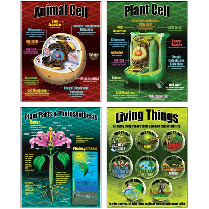 Life Science Teaching Poster Set (Pack of 6) - Science - Teacher Created Resources