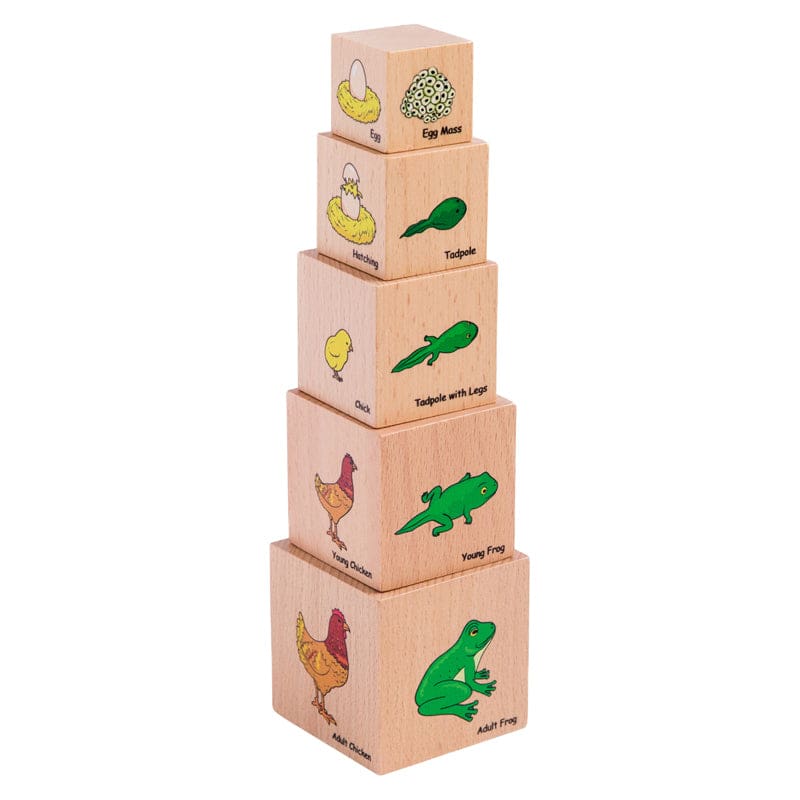 Lifecycle Wooden Blocks Set Of 5 (Pack of 2) - Animals - Learning Advantage