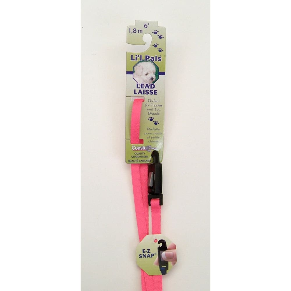 Lil Pals Nylon Dog Leash with E-Z Snap Neon Pink 3/8 in x 6 ft - Pet Supplies - Lil Pals