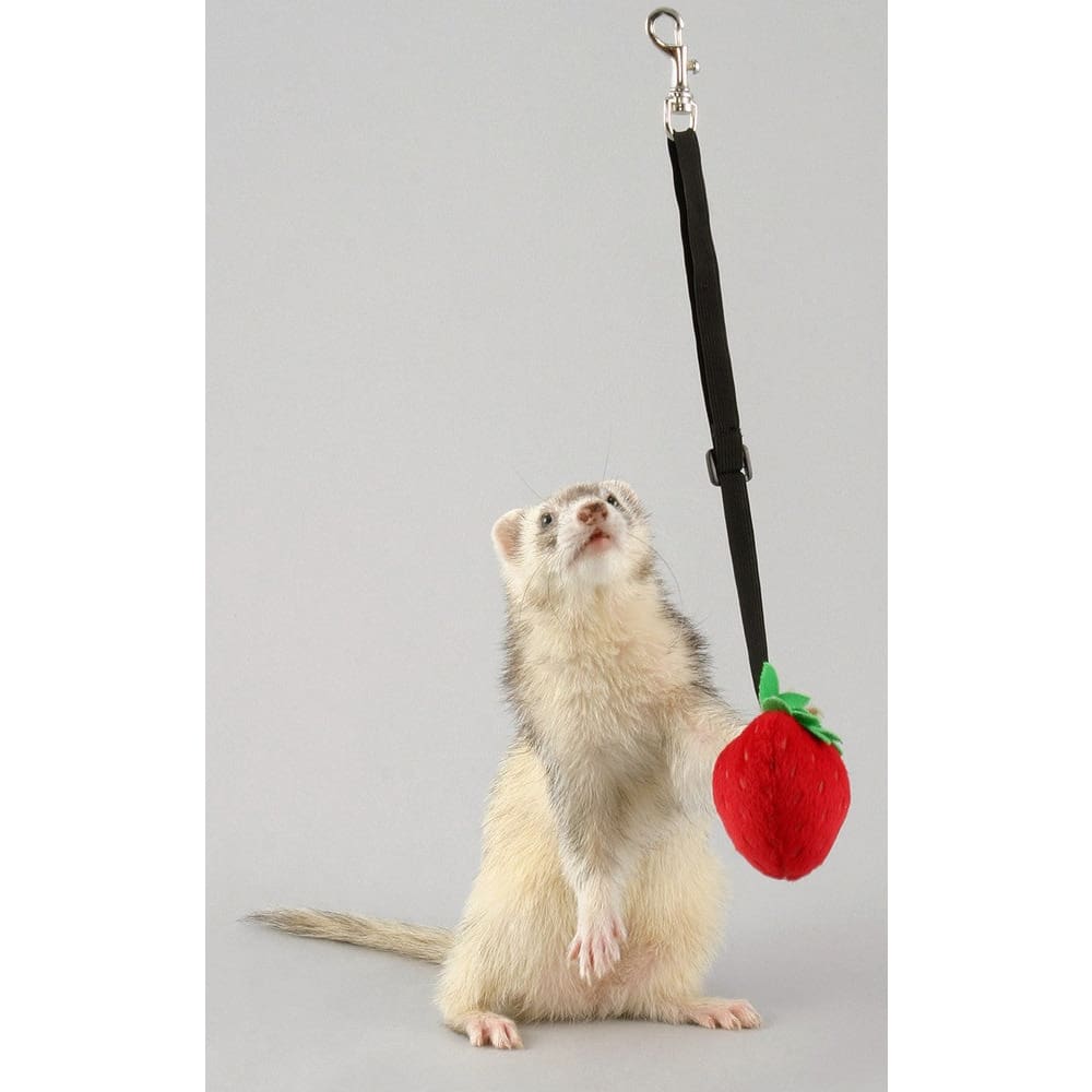 Marshall Pet Products Ferret Bungee Toy Platypus Pink One Size - Pet Supplies - Marshall