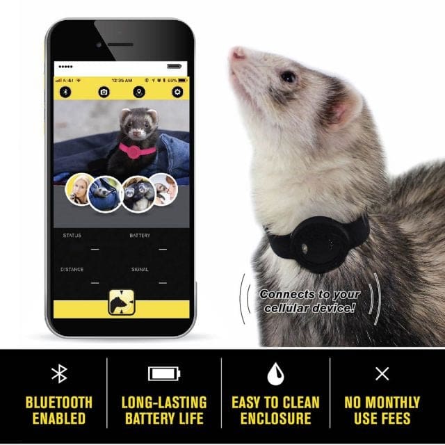 Marshall Pet Products Ferret Finder GPS Collar Black - Pet Supplies - Marshall