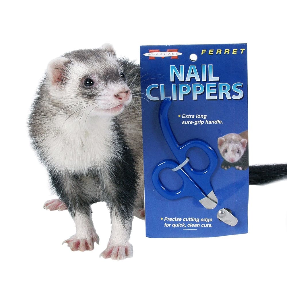 Marshall Pet Products Ferret Nail Clippers Blue 1Ea - Pet Supplies - Marshall