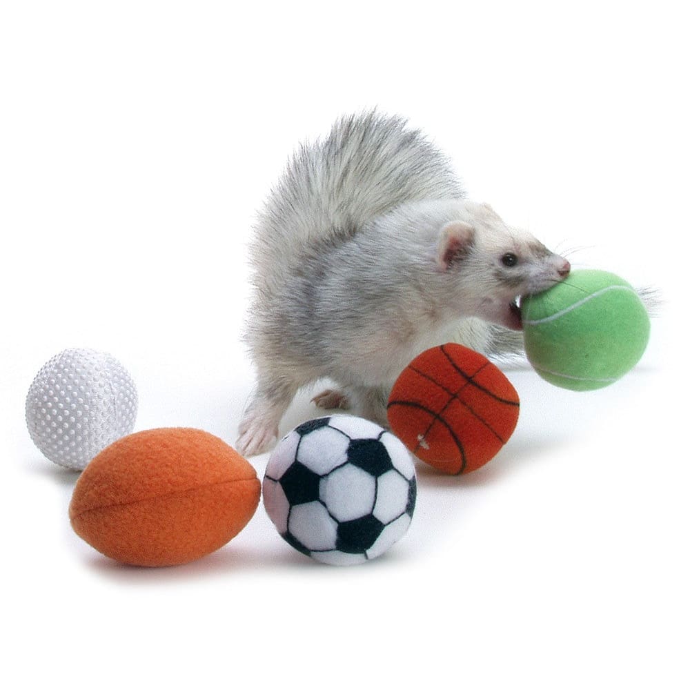Marshall Pet Products Ferret Sport Balls Assorted 2 in 2 Pack - Pet Supplies - Marshall