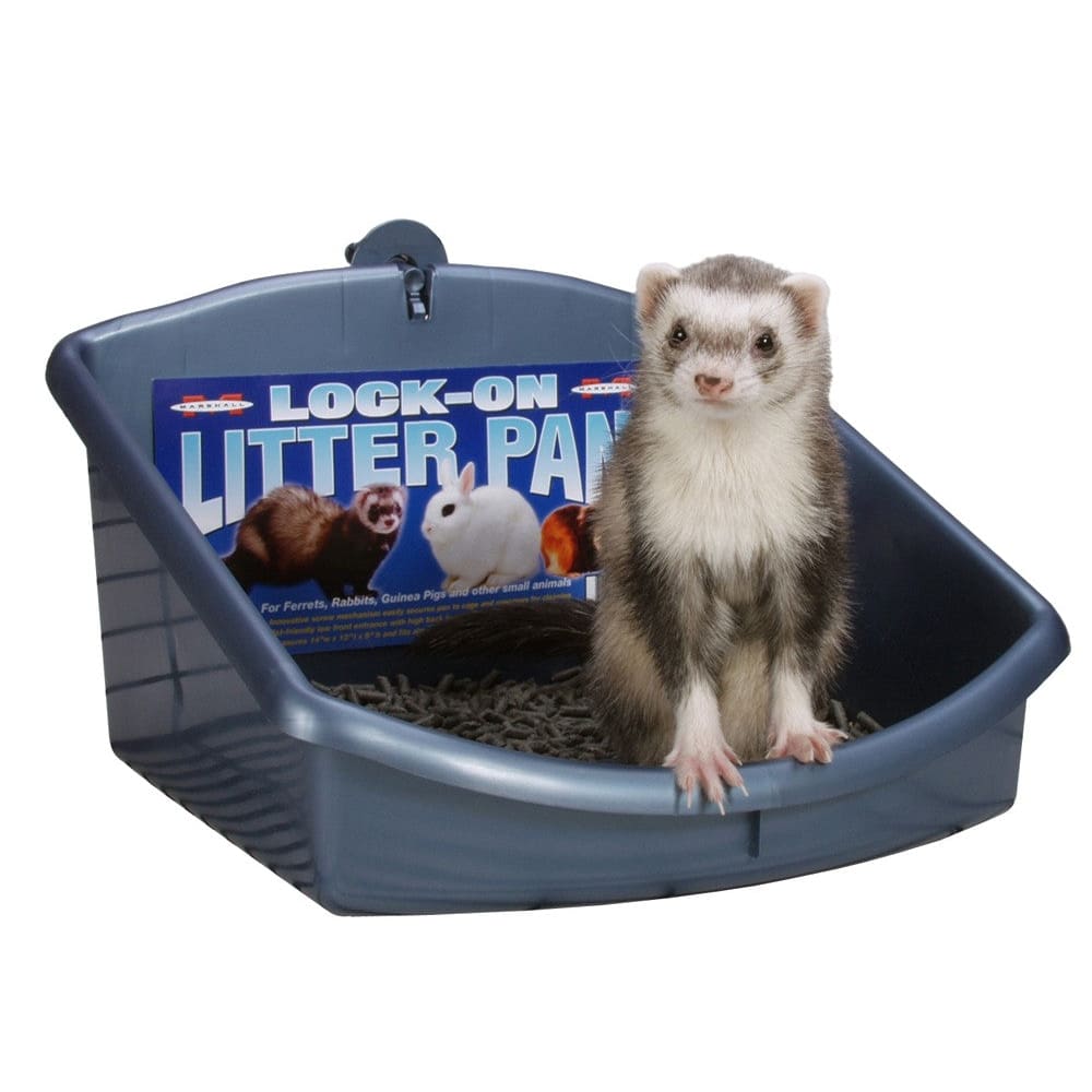 Marshall Pet Products Lock-On Litter Pan for Small Animals Assorted - Pet Supplies - Marshall