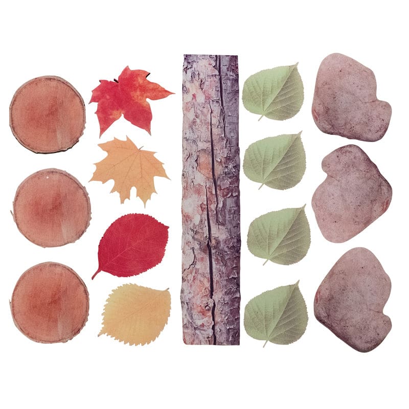 Natures Footsteps - Balance Beams - Learning Advantage