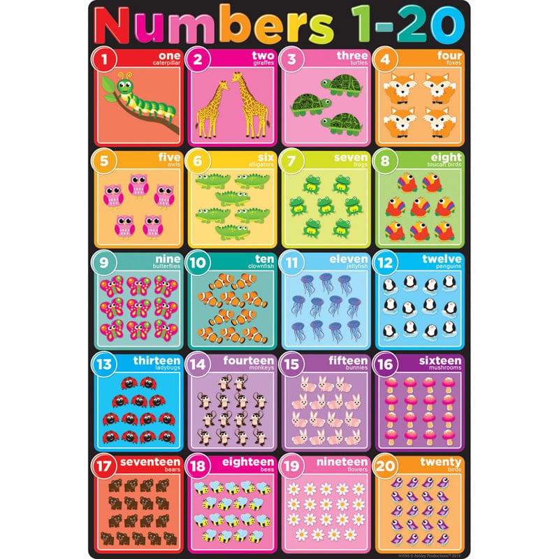 Numbers 1-20 Smart Poly Chart (Pack of 12) - Math - Ashley Productions