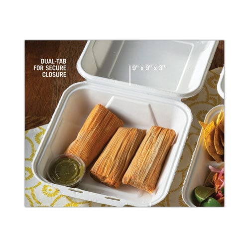 Pactiv Evergreen Earthchoice Bagasse Hinged Lid Container Dual Tab Lock Large Container 9 X 9 X 3.5 Natural Sugarcane 150/carton - Food
