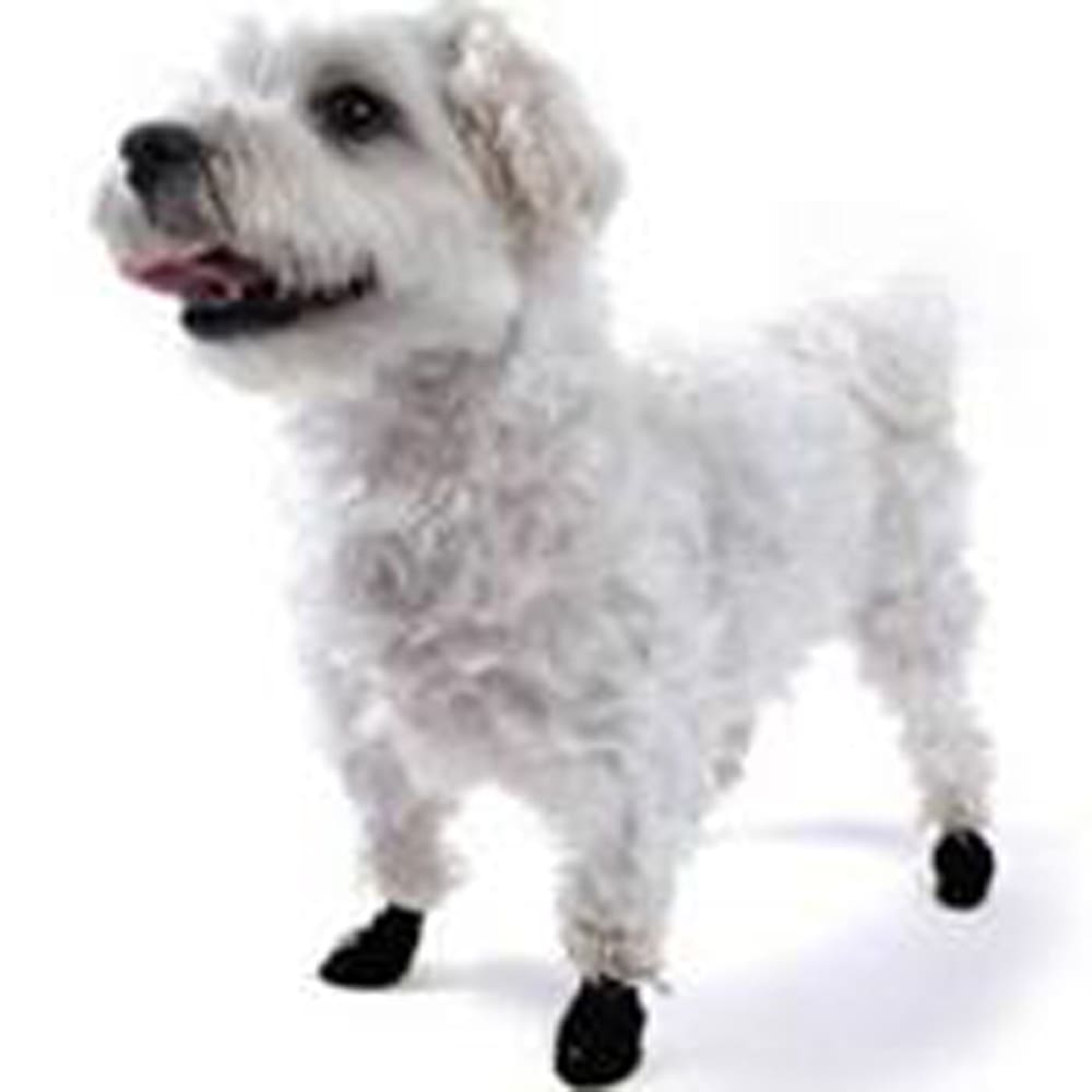Pawz Dog Boots Black Extra Extra Smal - Pet Supplies - Pawz