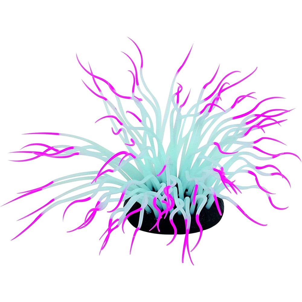 PennPlax AquaPlants Artificial Soft Silicone Sea Anemone Aquarium Plant Pink; 1ea-One Size - Pet Supplies - PennPlax