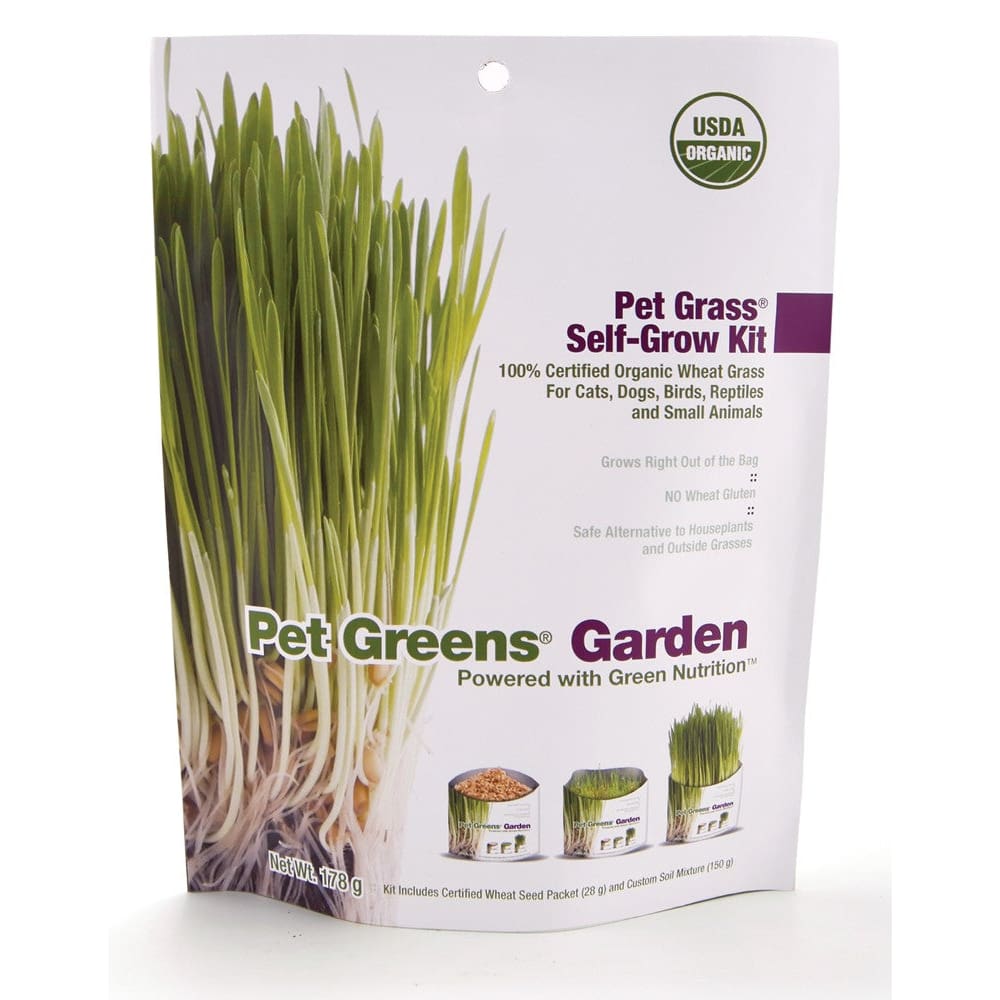 Pet Greens Garden Pet Grass 3 oz - Pet Supplies - Pet