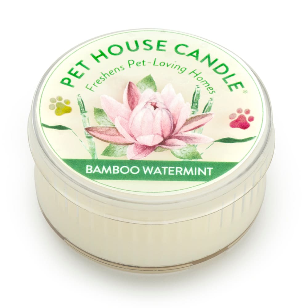 Pet House Candle Bamboo Watermint Mini Case of 12 - Pet Supplies - Pet House