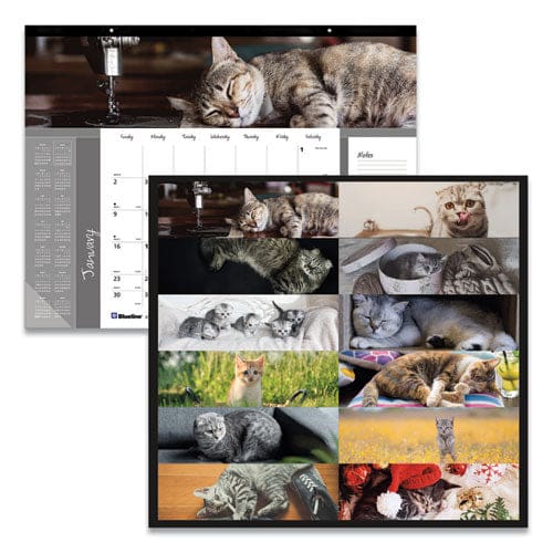 Pets Collection Monthly Desk Pad Furry Kittens Photography 22 X 17 White Sheets Black Binding 12-month (jan-dec): 2023 - School Supplies -