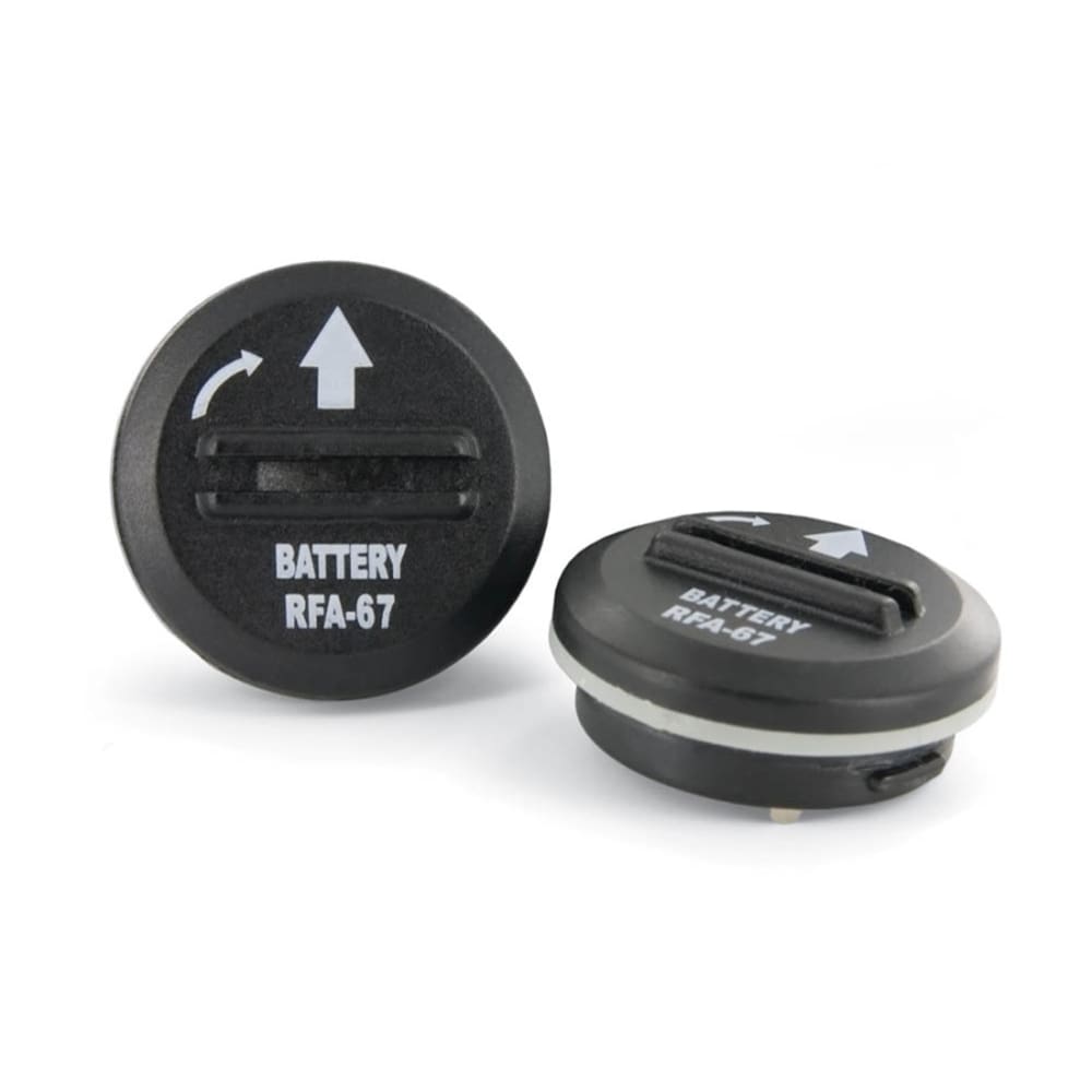 PetSafe 6 Volt Lithium Battery Black 2 Count - Pet Supplies - PetSafe