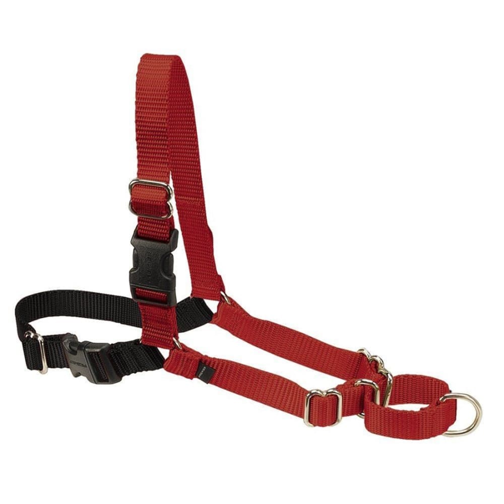 PetSafe Easy Walk Dog Harness Black; Red Large - Pet Supplies - PetSafe