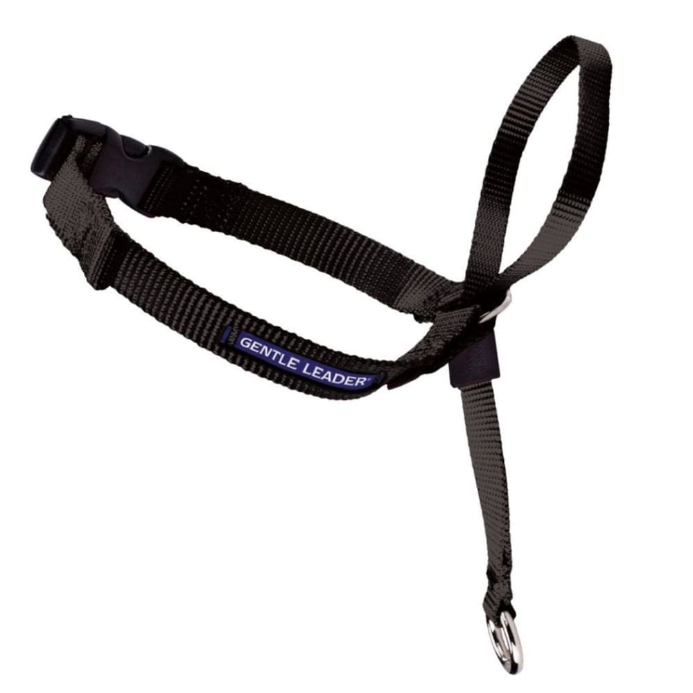 PetSafe Headcollar No-Pull Dog Collar Black Large - Pet Supplies - PetSafe